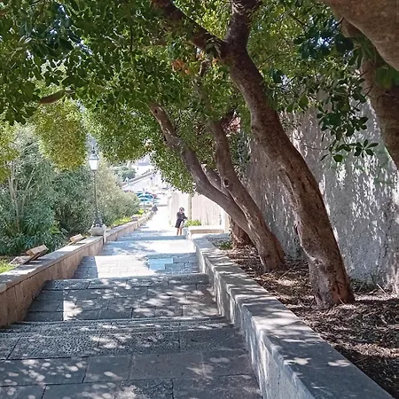 Apartment Ivo's Garden Prostran Stan U Blizini Starog Grada Dubrovnik